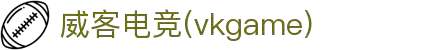 威客电竞 - 让每一份电竞才华都更有价值